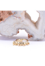 BVLA 16g Ray of Light Clicker Rings in 14k Gold by BVLA!