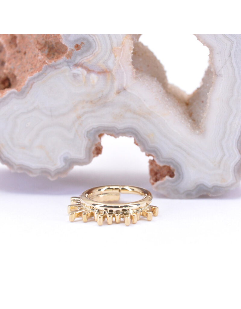 BVLA 16g Ray of Light Clicker Rings in 14k Gold by BVLA!