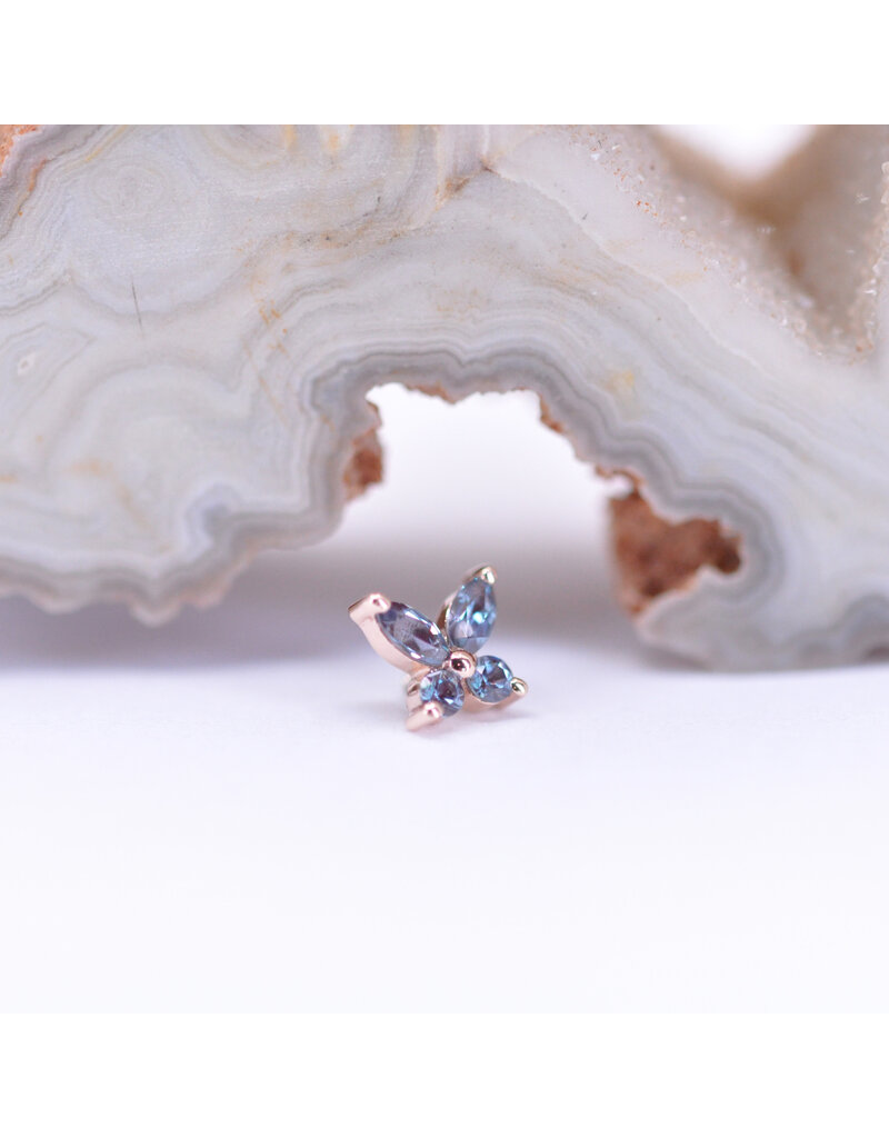BVLA Monarch Butterfly with Alexandrite in 14k Rose Gold 16g Threaded End by BVLA!