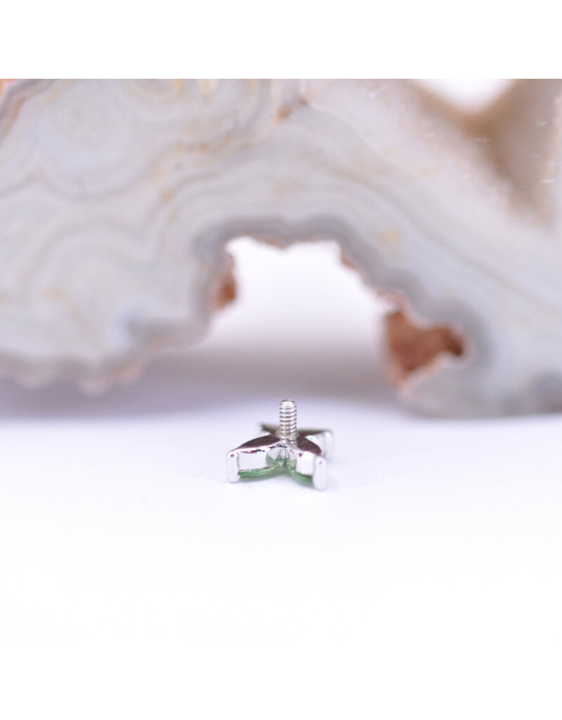 BVLA Monarch Butterfly with Grade AA Tsavorite Garnet in 14k White Gold 16g Threaded End by BVLA!