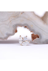 BVLA 6mm Bloom with CZ in 14k Yellow Gold 16g Threaded End by BVLA!