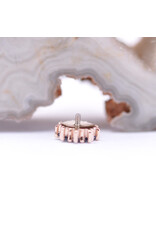 BVLA Pablito with Grade AA Iolite in 14k Rose Gold 16g Threaded End by BVLA!
