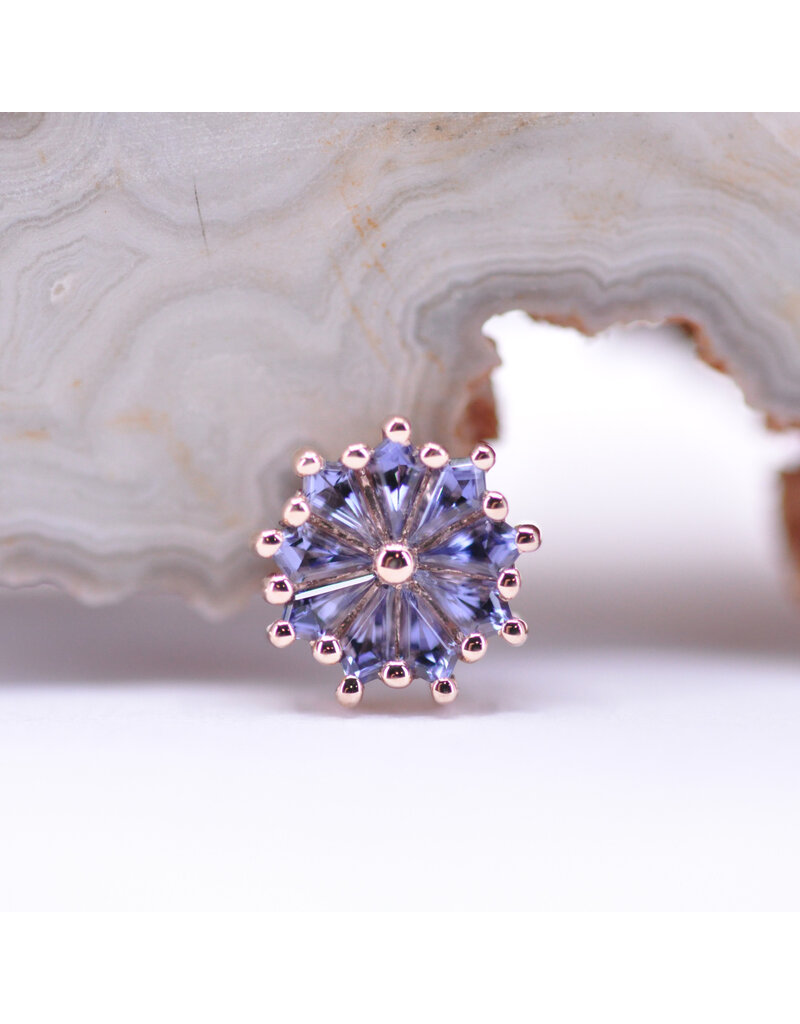 BVLA Pablito with Grade AA Iolite in 14k Rose Gold 16g Threaded End by BVLA!