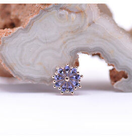 BVLA Pablito Iolite Rose Gold 16g Threaded End
