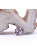 BVLA Pablito with Grade AA Iolite in 14k Rose Gold 16g Threaded End by BVLA!