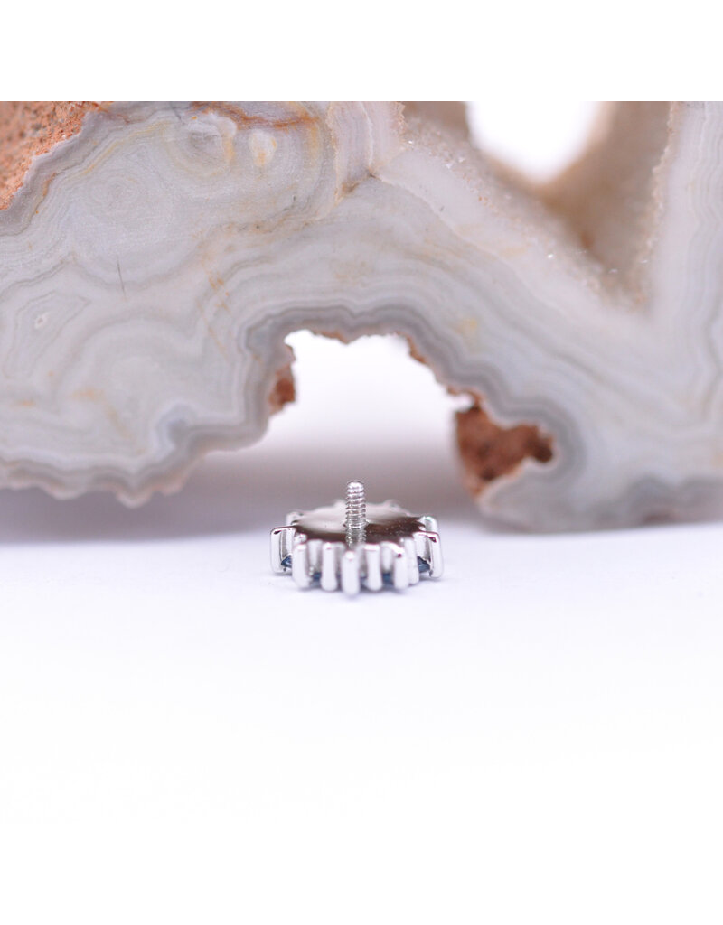 BVLA Pablito with Grade AA Aquamarine in 14k White Gold 16g Threaded End by BVLA!