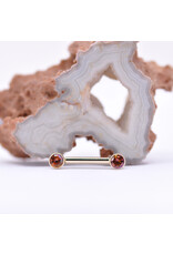 BVLA 12g 1/2" Bezel Nipple Barbells with 4mm Anastasia Topaz in 14k Yellow Gold