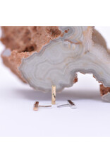 BVLA Rosalia with CZ 14k Gold Threadless Ends