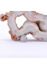 BVLA 7mm Compass with Genuine VS Diamonds in 14k Gold 16g Threaded Ends by BVLA!