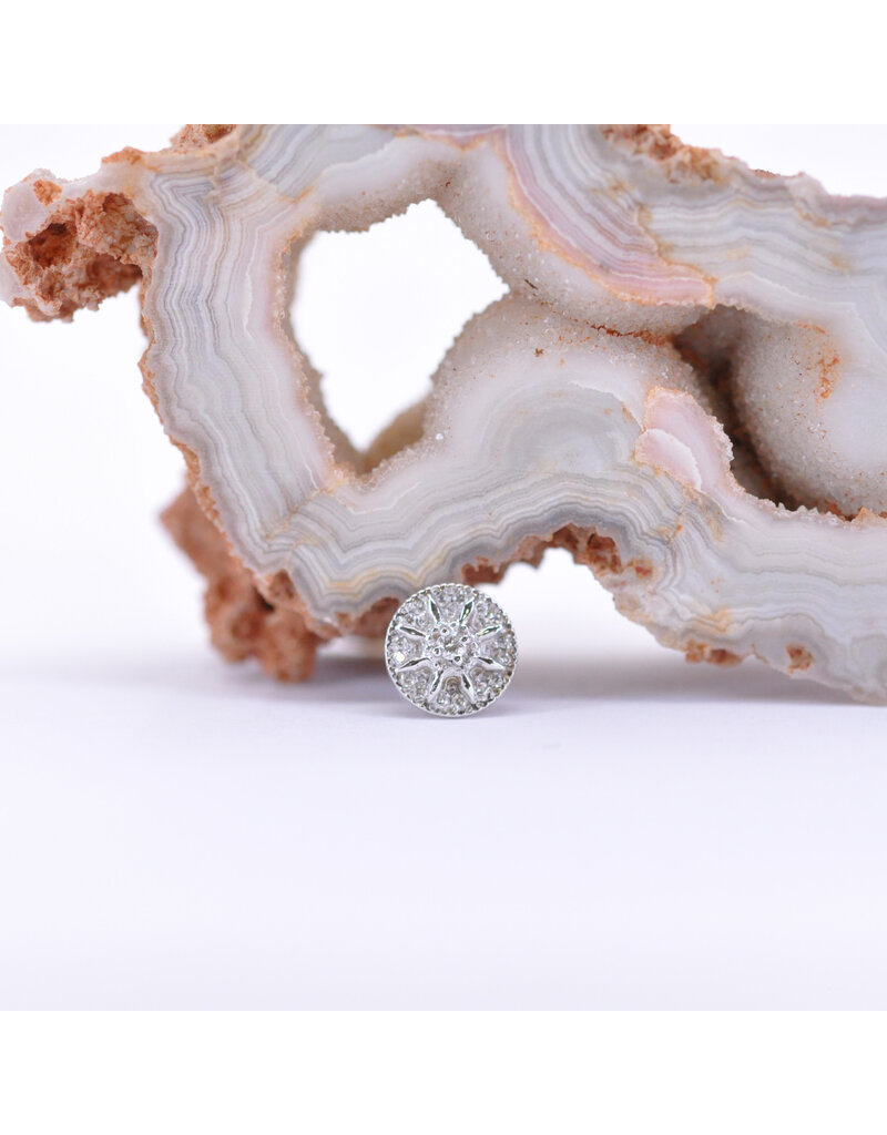 BVLA 7mm Compass with Genuine VS Diamonds in 14k Gold 16g Threaded Ends by BVLA!