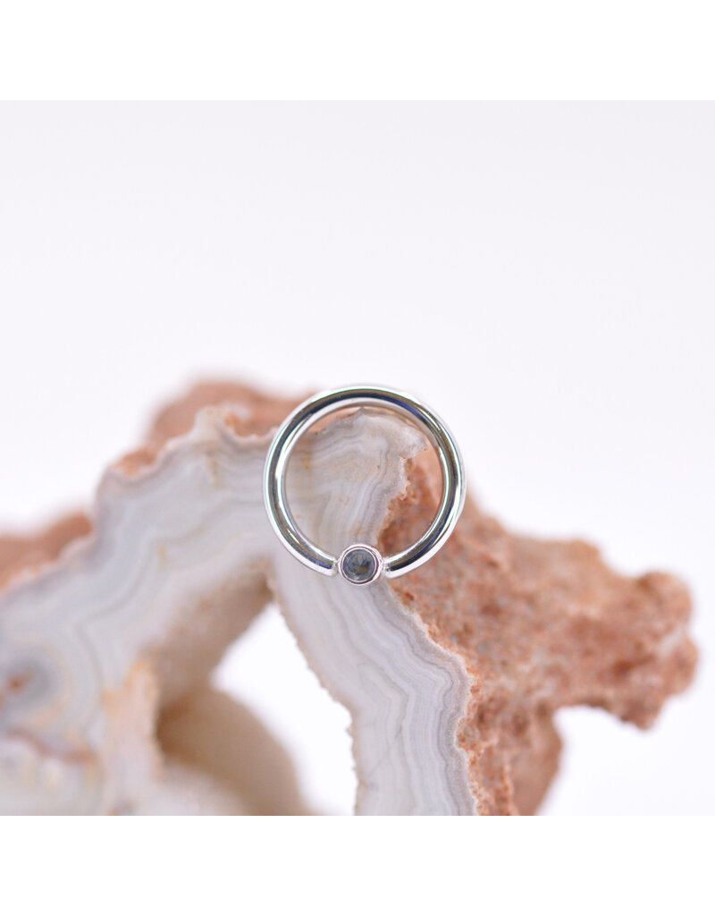 BVLA 16g 5/16" Fixed Bezel Seam Ring with 2mm Grey CZ in 14k White Gold
