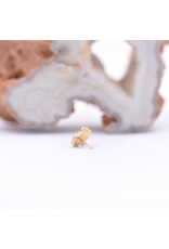 junipurr Blue Hamsa with Blue Opal Cabochon in 14k Yellow Gold Threadless End by Junipurr
