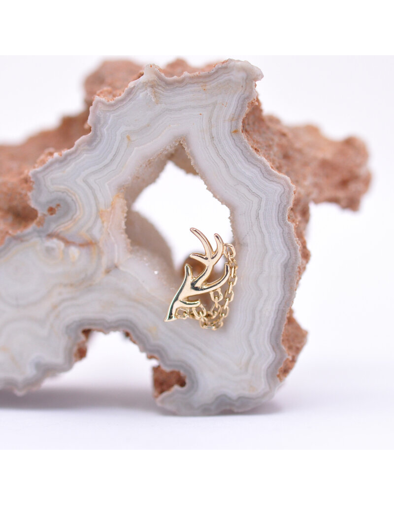 junipurr Chained Antler (Right facing) in 14k Yellow Gold 14g Threaded End by Junipurr