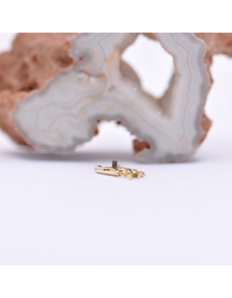 junipurr Chained Antler (Right facing) in 14k Yellow Gold 14g Threaded End by Junipurr