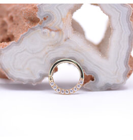 junipurr Junipurr CZ Yellow Gold Seam Ring 16g 5/16"