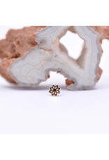 junipurr Elegance in 14k Yellow Gold Threadless End by Junipurr