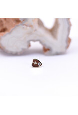 junipurr Planchette with CZ in 14k Yellow Gold Threadless End by Junipurr