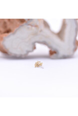junipurr Juni-purr in 14k Yellow Gold Threadless End by Junipurr