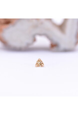 Anatometal Trillion Prong with Champagne CZ in 18k Rose Gold Threadless End by Anatometal