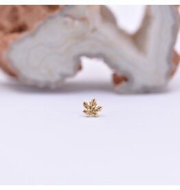 Anatometal Maple Leaf Yellow Gold Threadless End