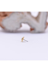 Anatometal Virtue with AB CZ in 18k Yellow Gold Threadless End by Anatometal