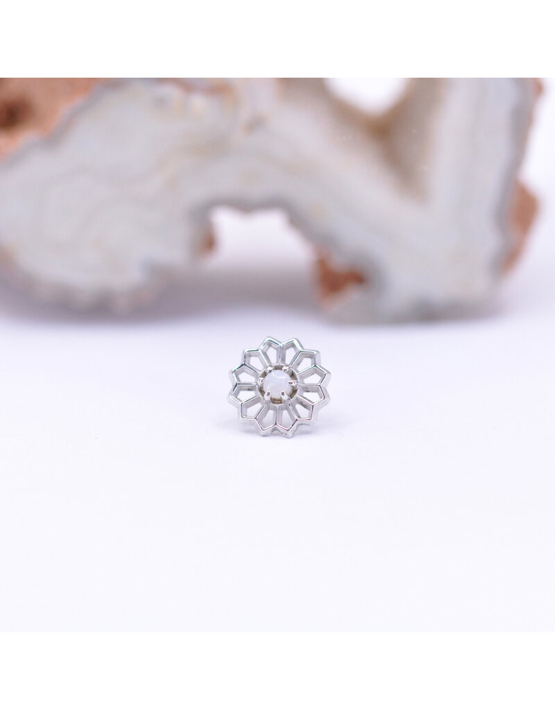 Maya Jewelry Passion Flower with White Opal in 14k White Gold Threadless End by Maya Jewelry