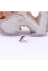 Maya Jewelry Thrive with CZ in 14k Rose Gold Threadless End by Maya Jewelry