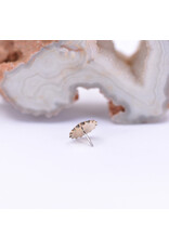 Maya Jewelry Thrive with CZ in 14k Yellow Gold Threadless End by Maya Jewelry
