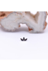 BVLA Flat Marquise Fan in 14k White Gold 16g Threaded End by BVLA!