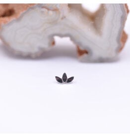 BVLA Marquise Fan White Gold 16g Threaded End