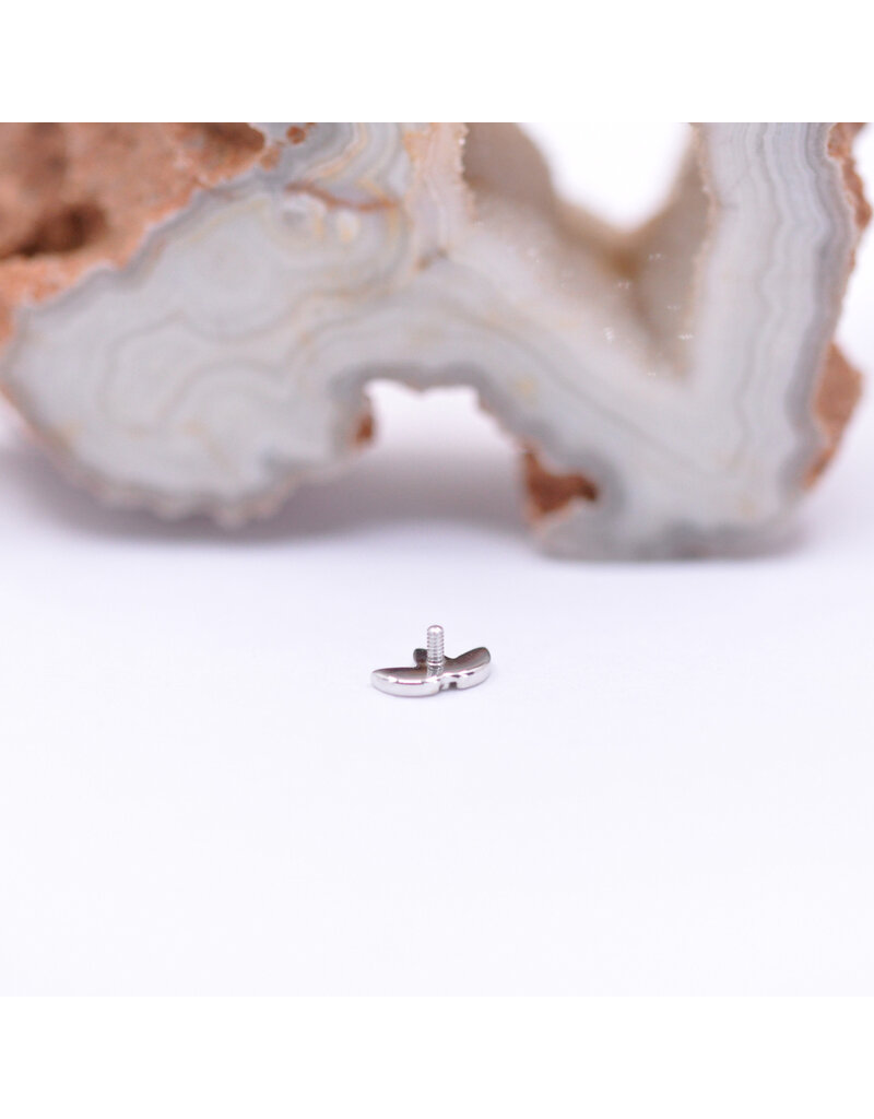 BVLA Flat Marquise Fan in 14k White Gold 16g Threaded End by BVLA!