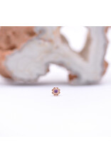 BVLA 4.5mm Firenze with Amethyst in 14k Rose Gold Threadless End by BVLA!