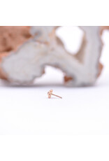 BVLA 4.5mm Firenze with Amethyst in 14k Rose Gold Threadless End by BVLA!