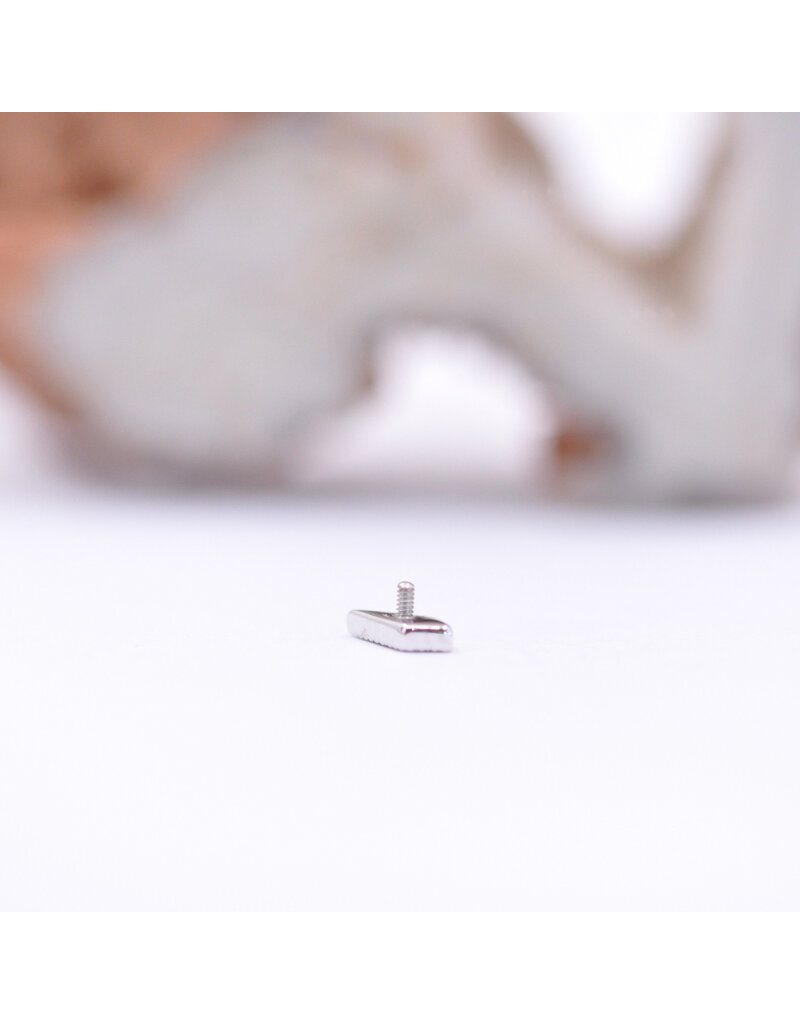 BVLA Dario with CZ in 14k White Gold 16g Threaded End by BVLA!