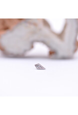 BVLA Dario with CZ in 14k White Gold 16g Threaded End by BVLA!