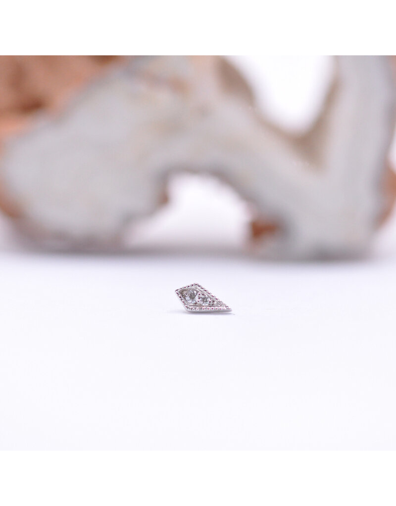 BVLA Dario with CZ in 14k White Gold 16g Threaded End by BVLA!