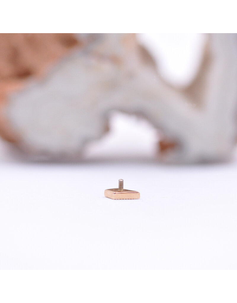 BVLA Dario with CZ in 14k Rose Gold 16g Threaded End by BVLA!