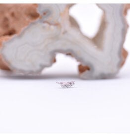 BVLA Tiny Feather White Gold Threadless End