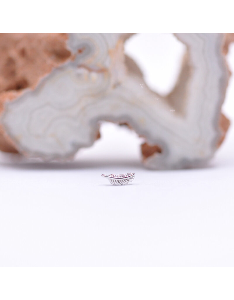 BVLA 6mm Tiny Feather in 14k White Gold Threadless End by BVLA!