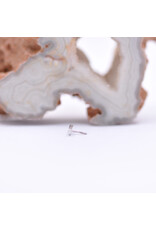 BVLA 6mm Tiny Feather in 14k White Gold Threadless End by BVLA!