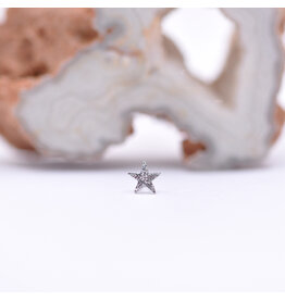 BVLA 4mm Hammered Star White Gold Threadless End