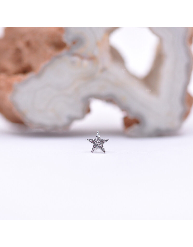 BVLA 4mm Hammered Star in 14k White Gold Threadless End by BVLA!