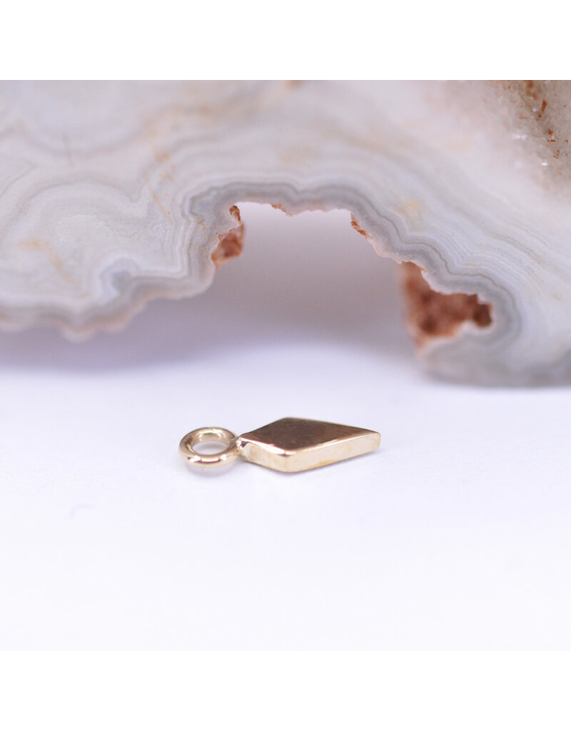 BVLA Dario Charm with Genuine Diamonds in 14k Yellow Gold by BVLA!