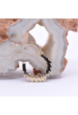 BVLA 16g 3/8" Maeve Clicker Ring with Genuine Grade AAA White Opal and CZ in 14k Yellow Gold by BVLA!