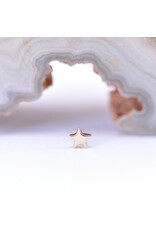 BVLA 3mm Flat Star in 14k Gold Threadless Ends by BVLA!