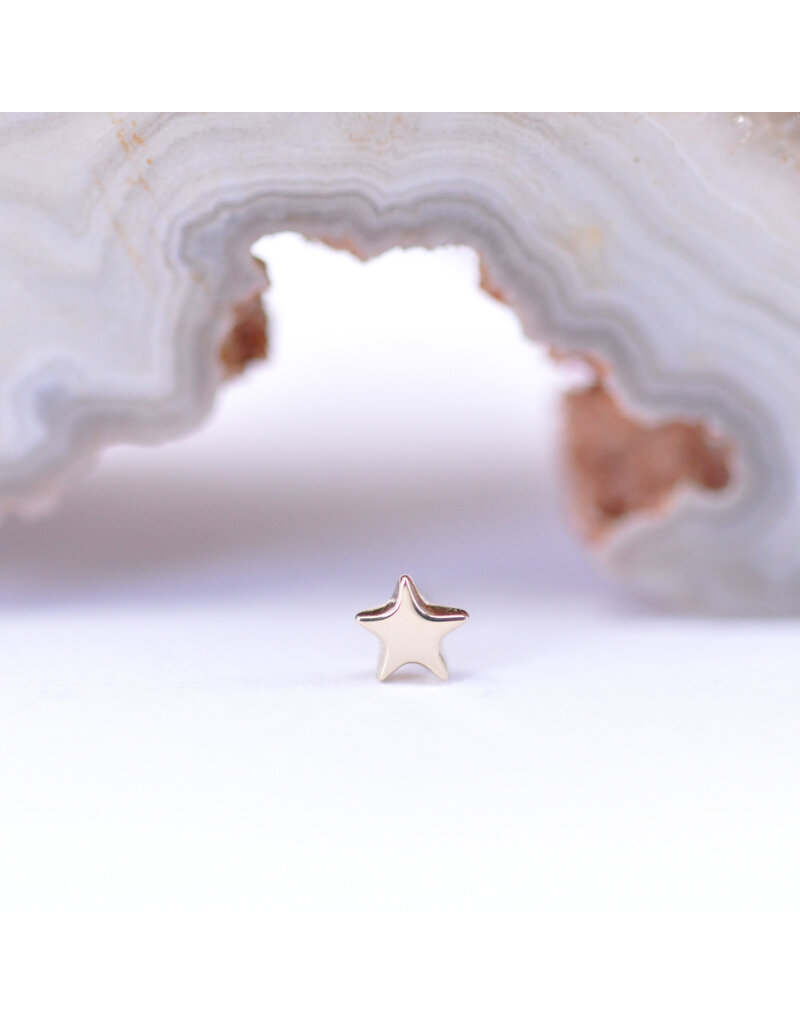 BVLA 3mm Flat Star in 14k Gold Threadless Ends by BVLA!