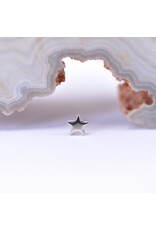 BVLA 3mm Flat Star in 14k Gold Threadless Ends by BVLA!