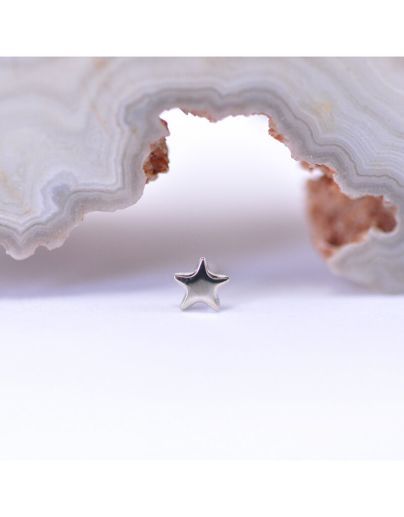 BVLA 3mm Flat Star in 14k Gold Threadless Ends by BVLA!