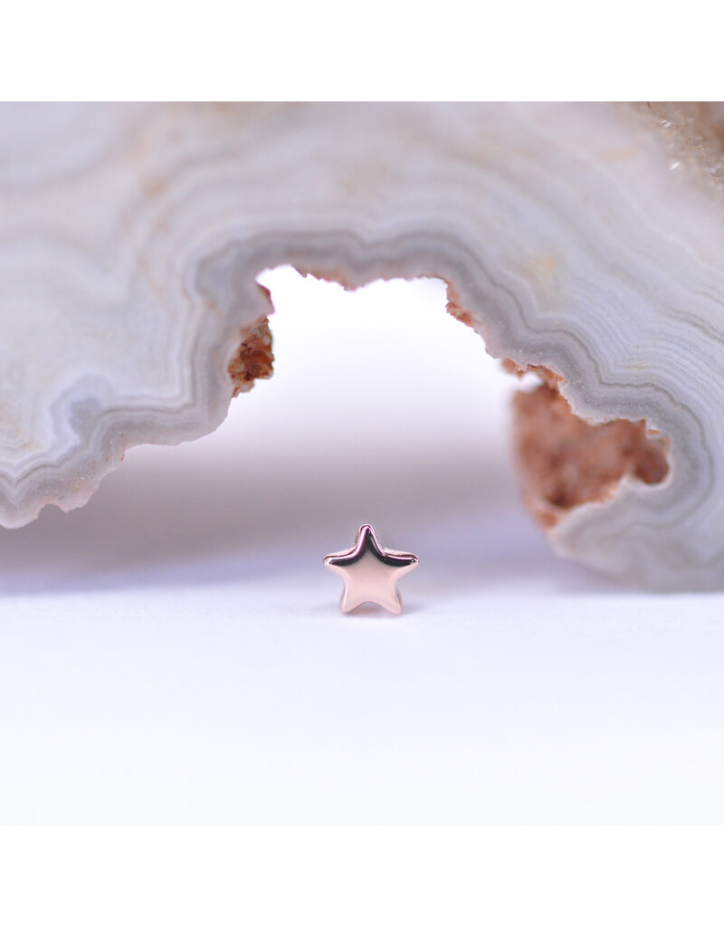 BVLA 3mm Flat Star in 14k Gold Threadless Ends by BVLA!