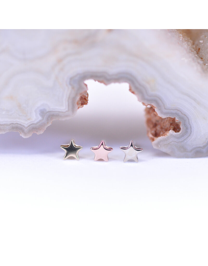 BVLA 3mm Flat Star in 14k Gold Threadless Ends by BVLA!